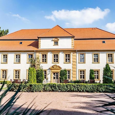 Stadtschloss Hecklingen*** Hecklingen  Екстериор снимка